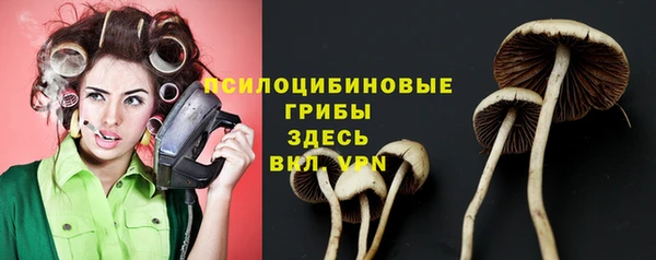 скорость Алексеевка