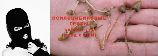 трава Алзамай