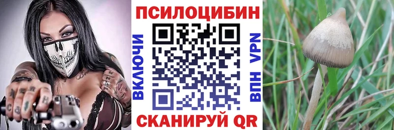 Галлюциногенные грибы Cubensis  KRAKEN ТОР  Апшеронск 
