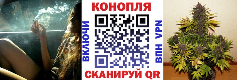Каннабис конопля  наркотики  Апшеронск 